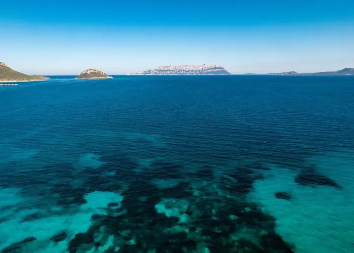 Feriehus Le Del Golfo - Your House In Sardinia Golfo Aranci